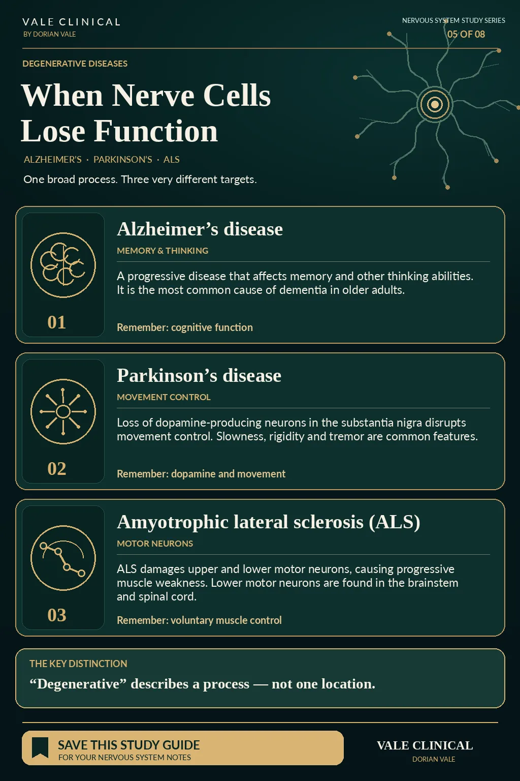 Vale Clinical degenerative disease comparison of Alzheimer’s disease affecting thinking, Parkinson’s disease affecting movement and ALS affecting motor neurons.